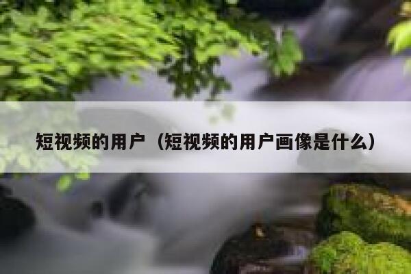 短视频的用户（短视频的用户画像是什么）