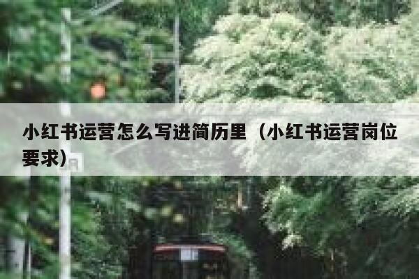 小红书运营怎么写进简历里（小红书运营岗位要求）