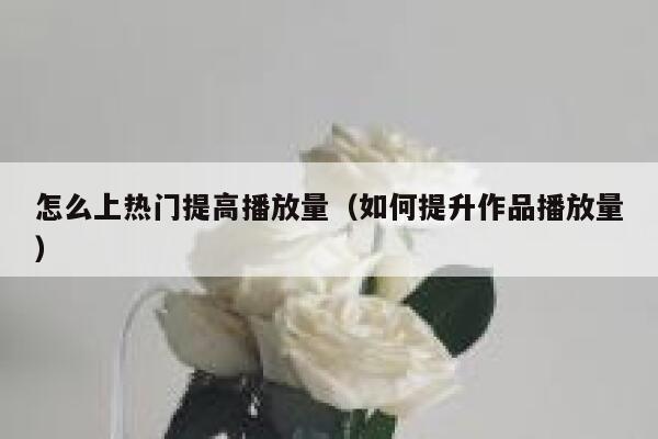 怎么上热门提高播放量（如何提升作品播放量）