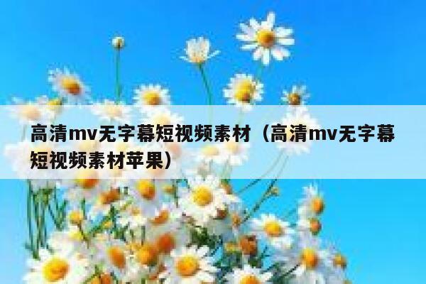 高清mv无字幕短视频素材（高清mv无字幕短视频素材苹果）