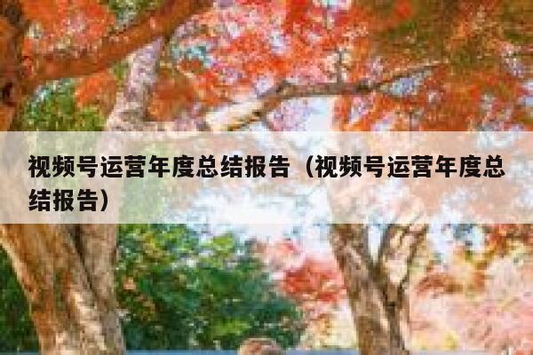 视频号运营年度总结报告（视频号运营年度总结报告）