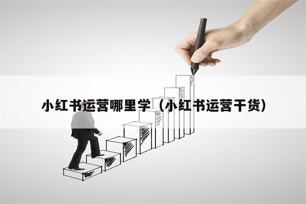 小红书运营哪里学（小红书运营干货）