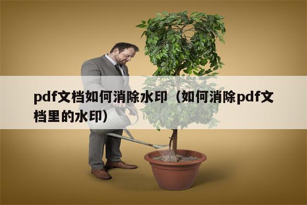 pdf文档如何消除水印（如何消除pdf文档里的水印）