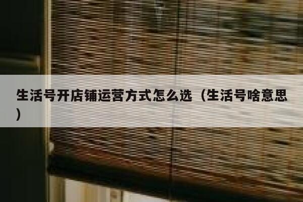 生活号开店铺运营方式怎么选（生活号啥意思）