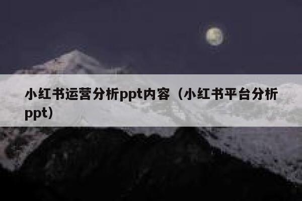 小红书运营分析ppt内容（小红书平台分析ppt）