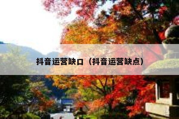 抖音运营缺口（抖音运营缺点）