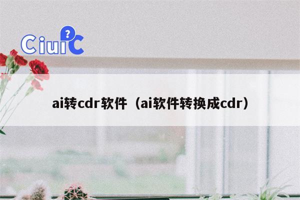 ai转cdr软件（ai软件转换成cdr）