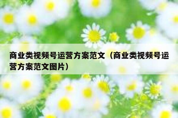 商业类视频号运营方案范文（商业类视频号运营方案范文图片）