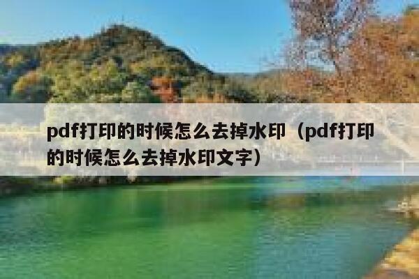 pdf打印的时候怎么去掉水印（pdf打印的时候怎么去掉水印文字）