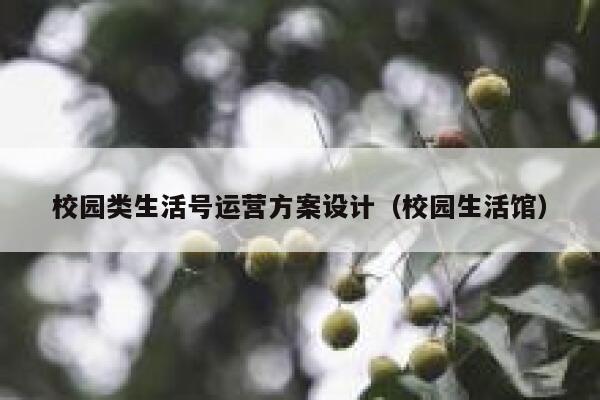 校园类生活号运营方案设计（校园生活馆）