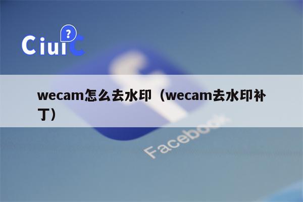 wecam怎么去水印（wecam去水印补丁）