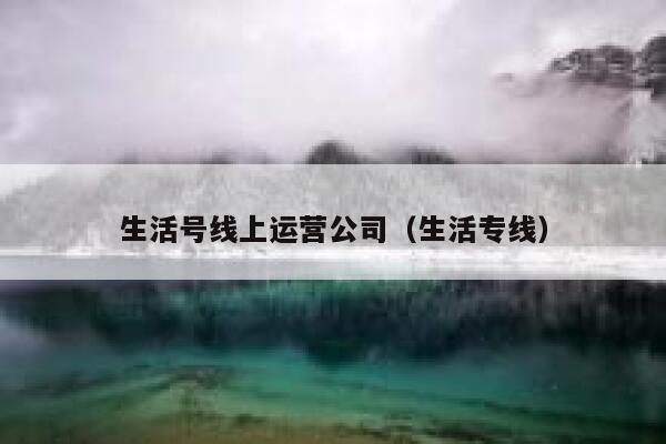 生活号线上运营公司（生活专线）