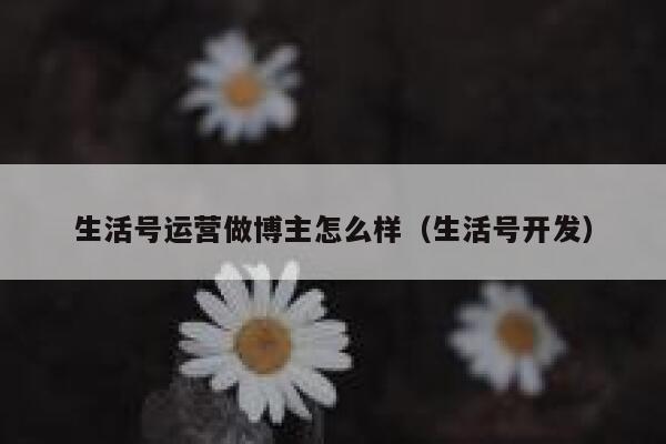 生活号运营做博主怎么样（生活号开发）