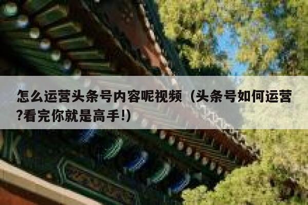 怎么运营头条号内容呢视频（头条号如何运营?看完你就是高手!）