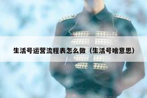 生活号运营流程表怎么做（生活号啥意思）