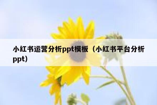 小红书运营分析ppt模板（小红书平台分析ppt）