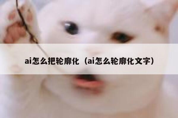 ai怎么把轮廓化（ai怎么轮廓化文字）