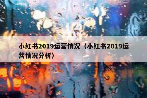 小红书2019运营情况（小红书2019运营情况分析）