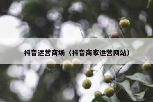 抖音运营商场（抖音商家运营网站）