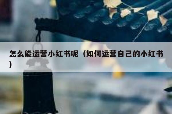 怎么能运营小红书呢（如何运营自己的小红书）