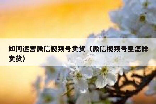 如何运营微信视频号卖货（微信视频号里怎样卖货）