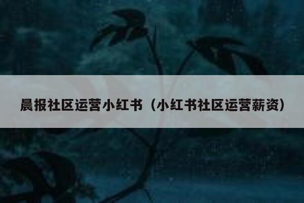 晨报社区运营小红书（小红书社区运营薪资）