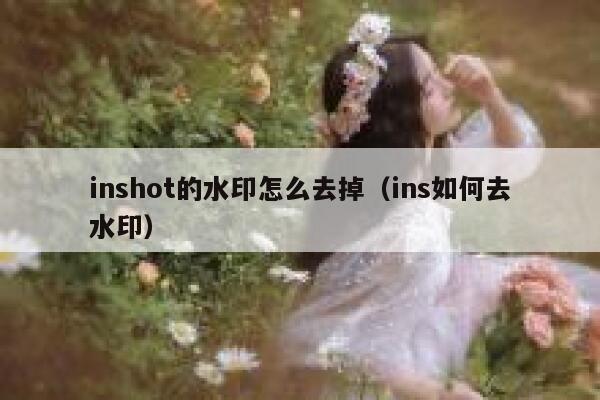 inshot的水印怎么去掉（ins如何去水印）