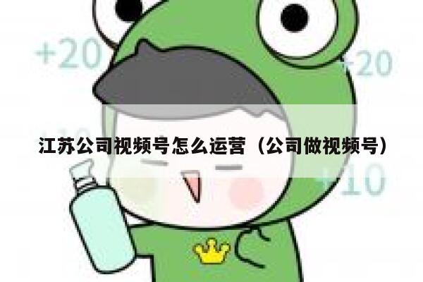 江苏公司视频号怎么运营（公司做视频号）