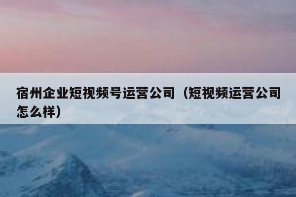 宿州企业短视频号运营公司（短视频运营公司怎么样）