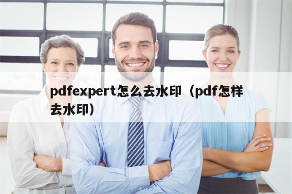 pdfexpert怎么去水印（pdf怎样去水印）