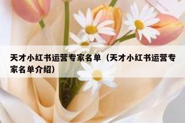 天才小红书运营专家名单（天才小红书运营专家名单介绍）