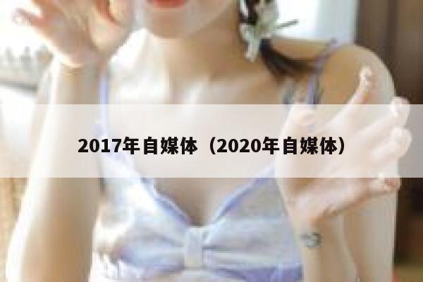 2017年自媒体（2020年自媒体）