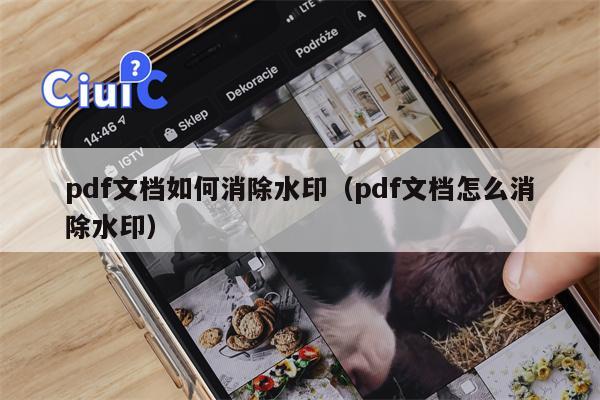 pdf文档如何消除水印（pdf文档怎么消除水印）