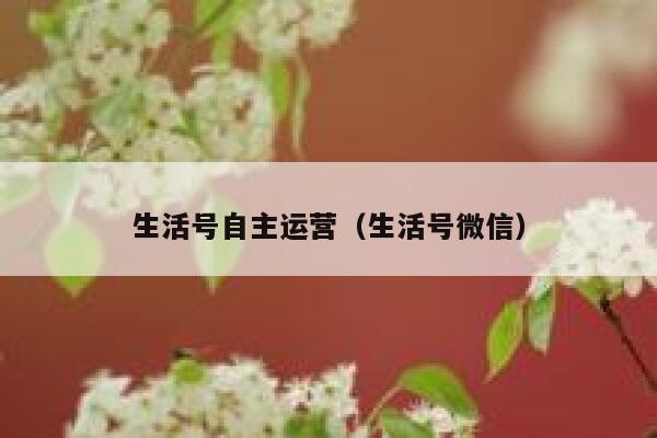 生活号自主运营（生活号微信）