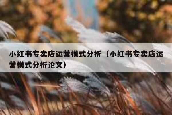 小红书专卖店运营模式分析（小红书专卖店运营模式分析论文）