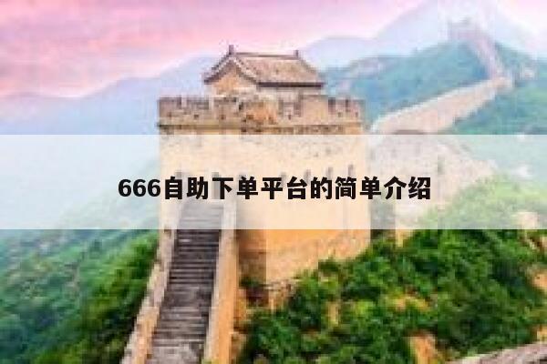 666自助下单平台的简单介绍