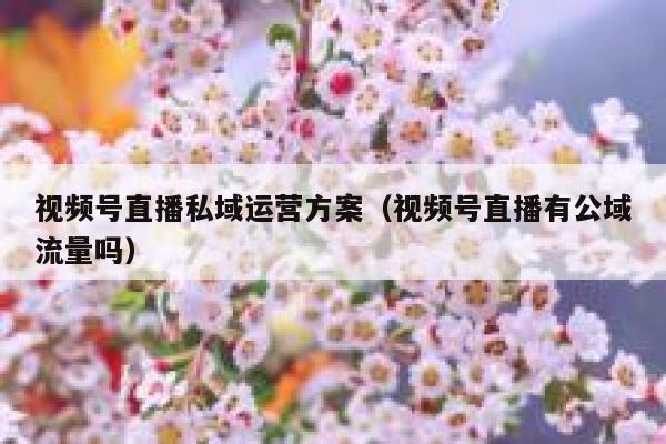 视频号直播私域运营方案（视频号直播有公域流量吗）