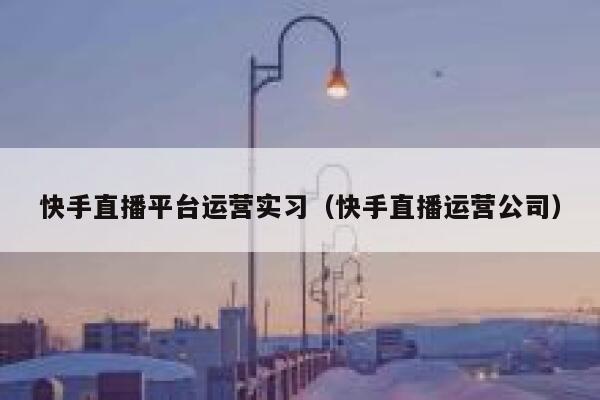 快手直播平台运营实习（快手直播运营公司）