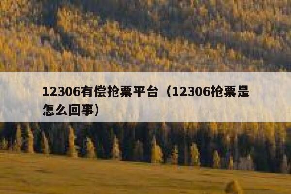 12306有偿抢票平台（12306抢票是怎么回事）