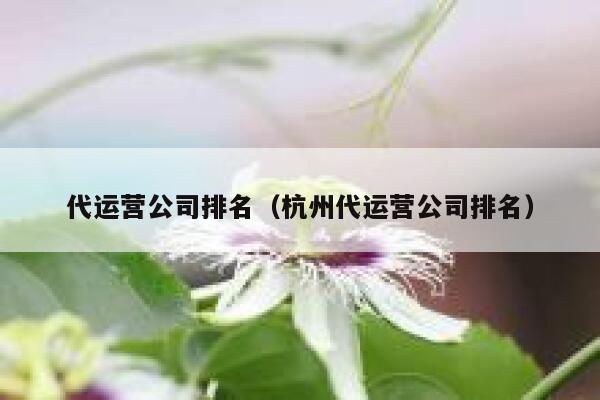 代运营公司排名（杭州代运营公司排名）