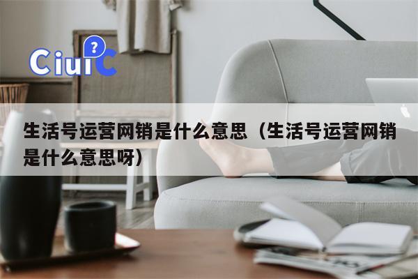 生活号运营网销是什么意思（生活号运营网销是什么意思呀）