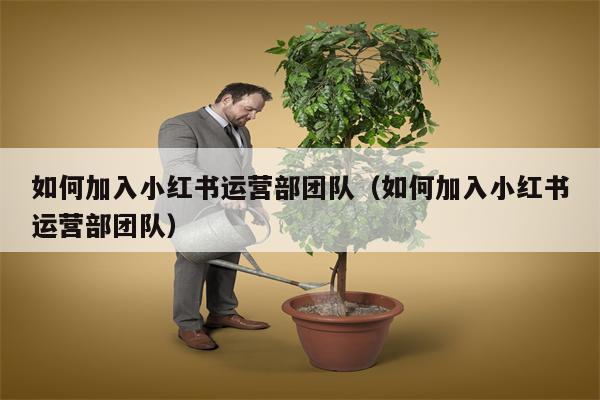 如何加入小红书运营部团队（如何加入小红书运营部团队）