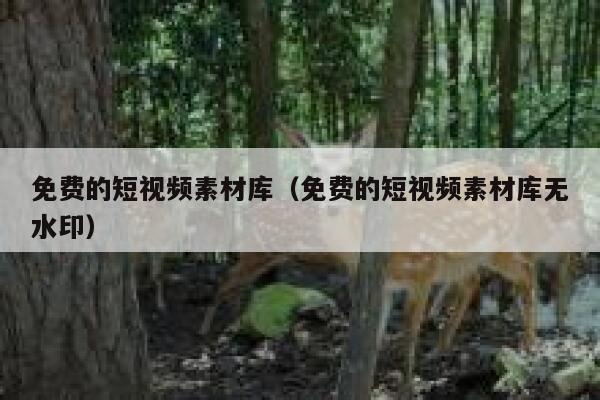 免费的短视频素材库（免费的短视频素材库无水印）