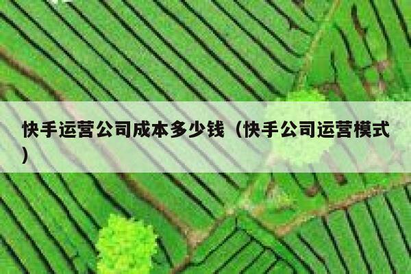 快手运营公司成本多少钱（快手公司运营模式）