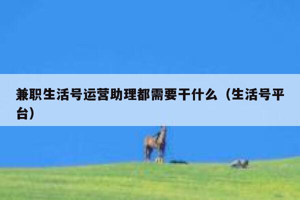 兼职生活号运营助理都需要干什么（生活号平台）