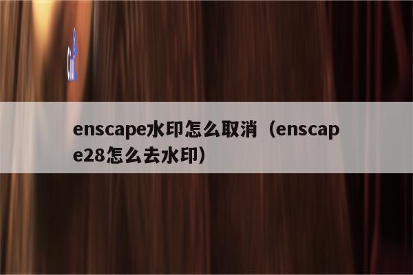 enscape水印怎么取消（enscape28怎么去水印）