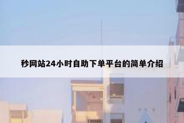 秒网站24小时自助下单平台的简单介绍