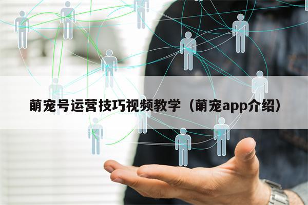 萌宠号运营技巧视频教学（萌宠app介绍）