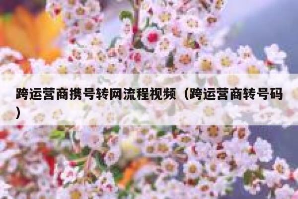 跨运营商携号转网流程视频（跨运营商转号码）