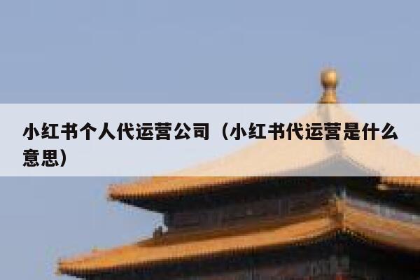 小红书个人代运营公司（小红书代运营是什么意思）